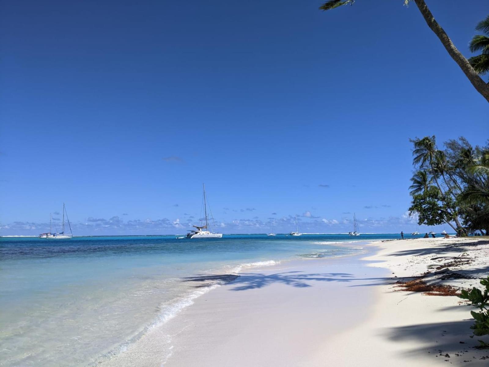 Rotui Lodge Paopao المظهر الخارجي الصورة